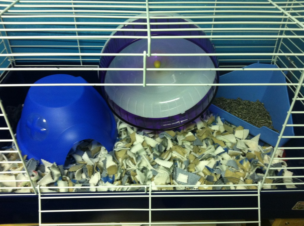 Mignonne's Hedgehog cage version 2