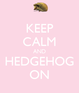 Keep Calm and Hedgehog On