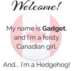 Welcome! My name is Gadget, and I'm a feisty Canadian girl. And... I'm a Hedgehog!