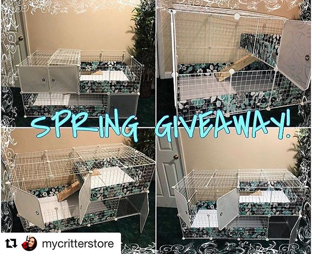 I'd like to win this cage : I'd send the cage to my Gram's house in the USA! @mycritterstore
・・・
Time for our big announcement! Our Spring Giveaway starts today! We are giving away our new bunny cage! (It may be used for other small critters as well) You will win everything shown in the pictures above! To enter simply repost this picture with a hashtag of and tag @mycritterstore by April 30th! Only one entry per person. You must be following this account and anyone in the USA can enter. You can also enter on our Facebook page! Good luck!