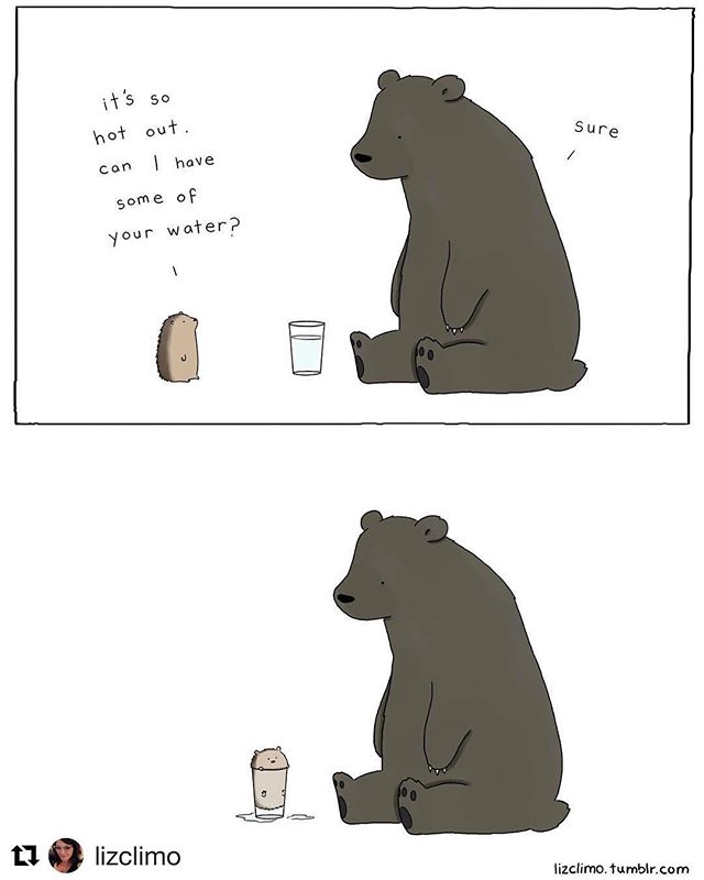 Liz Climo Hedgehog Comic : One of my favourite artists! Liz is so creative and has such a fabulous way of looking at life. This is obviously one of my favourite comics, because HEDGEHOG!!!!! But also it’s just adorable how the bear and hedgie are friends. I love it. 
@lizclimo
・・・